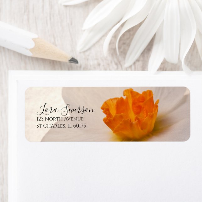 White Spring Daffodil Return Address (Insitu)