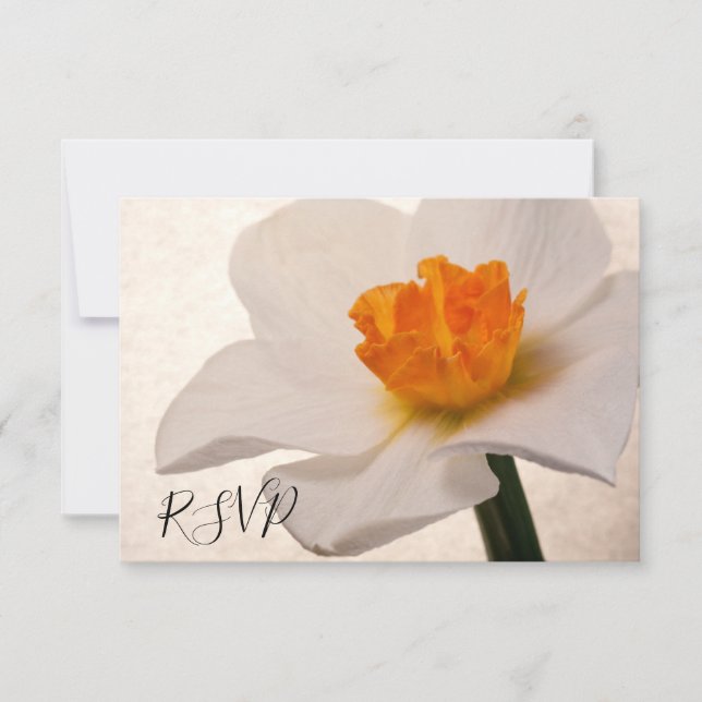 White Spring Daffodil Wedding Réponse RSVP (Devant)