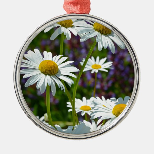 White spring daisies in bloom metal ornament (Front)