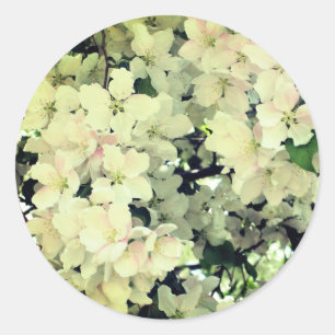 White Spring Flower Blossoms Classic Round Sticker