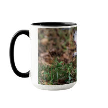 White Squirrel Mug