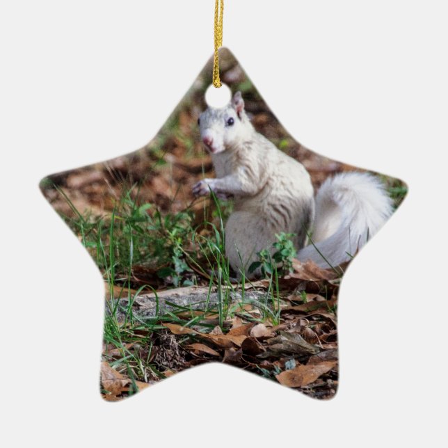 White Squirrel of Brevard Ceramic Ornament (Front)