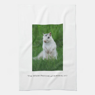 White Squirrel of Brevard Kitchen Towel