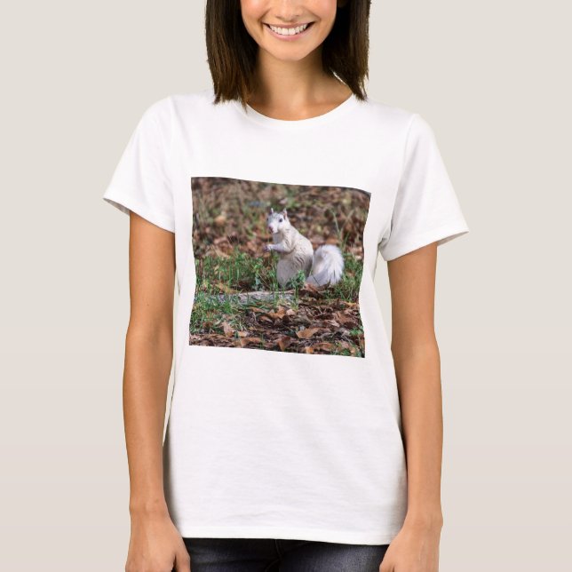 White Squirrel of Brevard T-Shirt (Front)