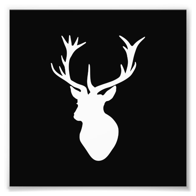 White Stag Head Photo Print (Front)