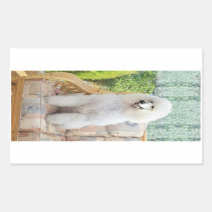 White Standard Poodle Sticker