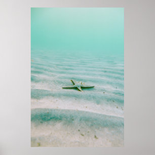 White starfish on sand underwater in the morning poster