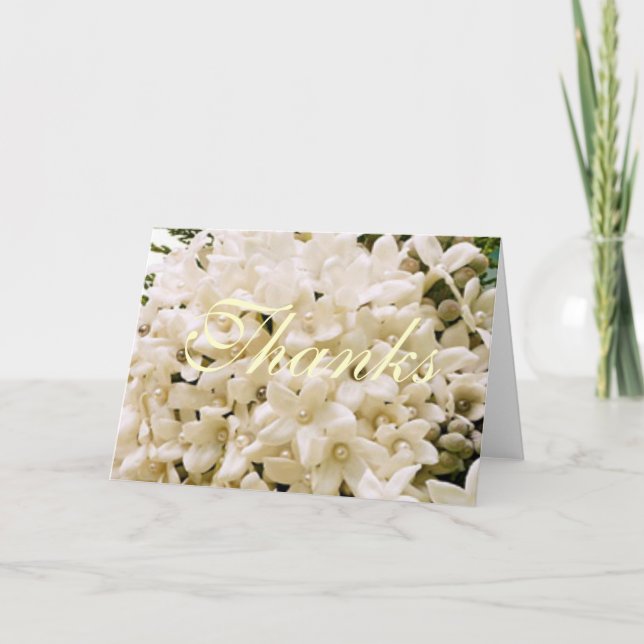 White Stephanotis Floral Thank You Notes (Front)