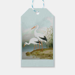 White stork, Bird Illustrations Gift Tags
