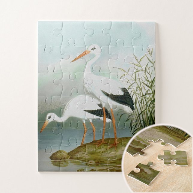 White stork, Bird Illustrations Jigsaw Puzzle (Creator Uploaded)