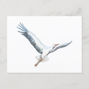 White stork flying postcard