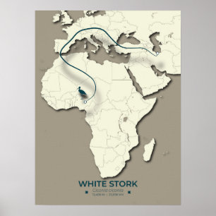 White Stork Migration Map – Minimalist Vintage Poster