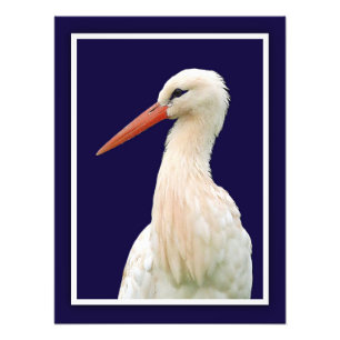 White Stork Photo Wall Art