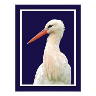 White Stork Photo Wall Art