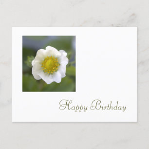 white strawberry flower happy birthday postcard