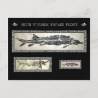 White Sturgeon Gyotaku Collage Card