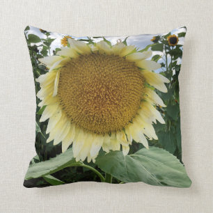 White Sunflower Throw Pillow