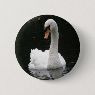 White Swan Button
