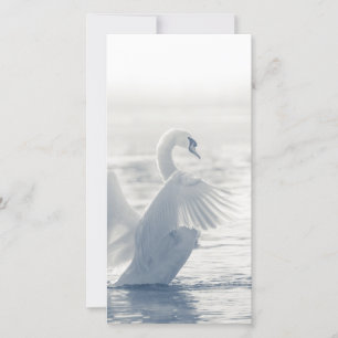 White Swan Card