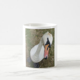 White Swan Close-Up On a Mug