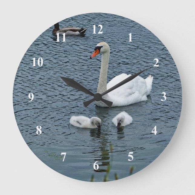 White Swan Cygnets Water Photo Large Clock (Front)