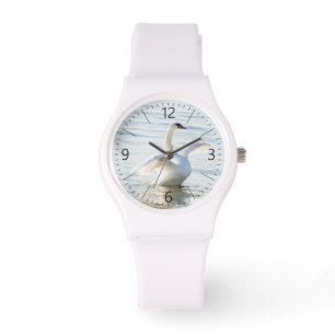 White swan Cygnus Watch