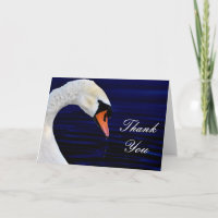 White Swan Drinking