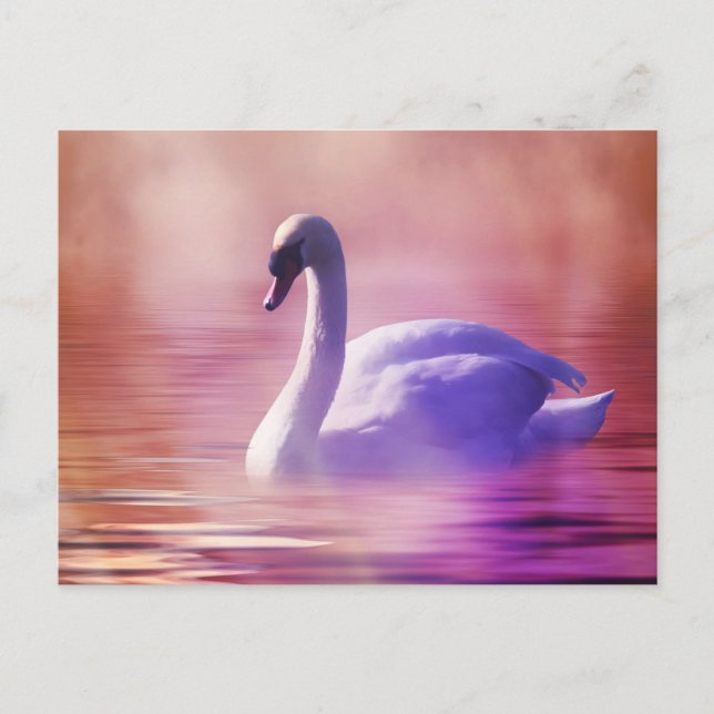 White Swan floating on a misty lake Postcard (Front)