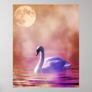 White Swan floating on a misty lake Poster
