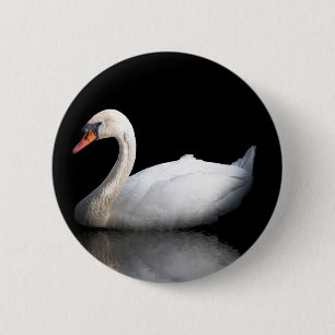 White swan on black 2 inch round button