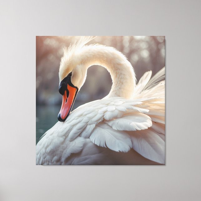 *~* White Swan SC1 Close Up Lovely Canvas Print (Front)