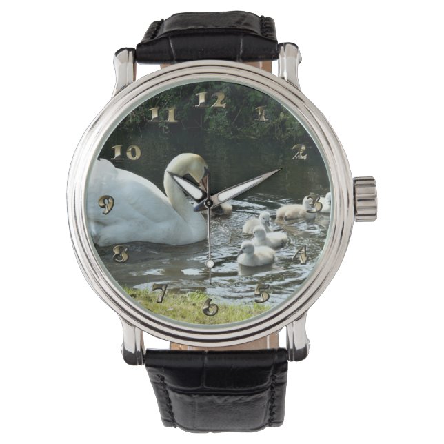 White Swan with Chicks Watch (Front)