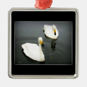 White Swans Black Water Metal Ornament
