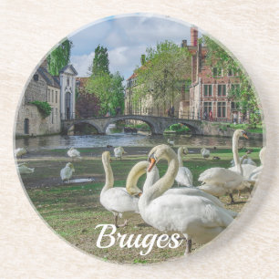 White swans in Bruges downtown Coaster