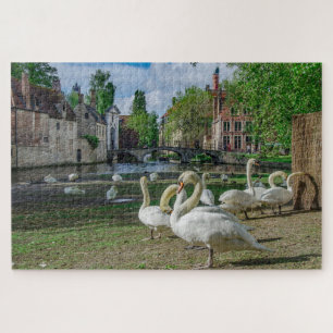 White swans in Bruges downtown Jigsaw Puzzle