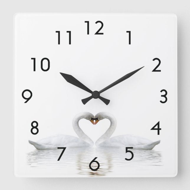 White swans in love square wall clock (Front)