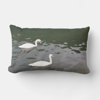 White Swans on Water - Nature Photography Lumbar P Pillow