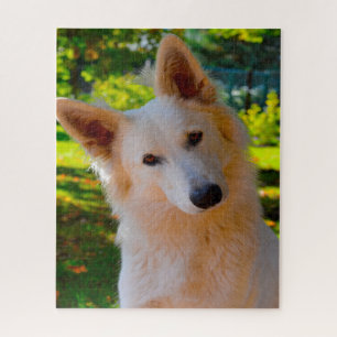 White Swiss Shepherd Dog Jigsaws. Jigsaw Puzzle