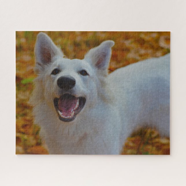 White Swiss Shepherd Dog Jigsaws. Jigsaw Puzzle (Horizontal)