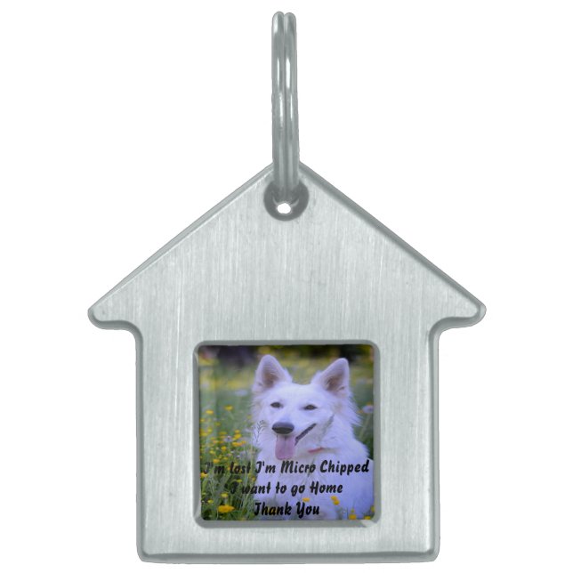 White Swiss Shepherd Dog. Pet ID Tag (Front)