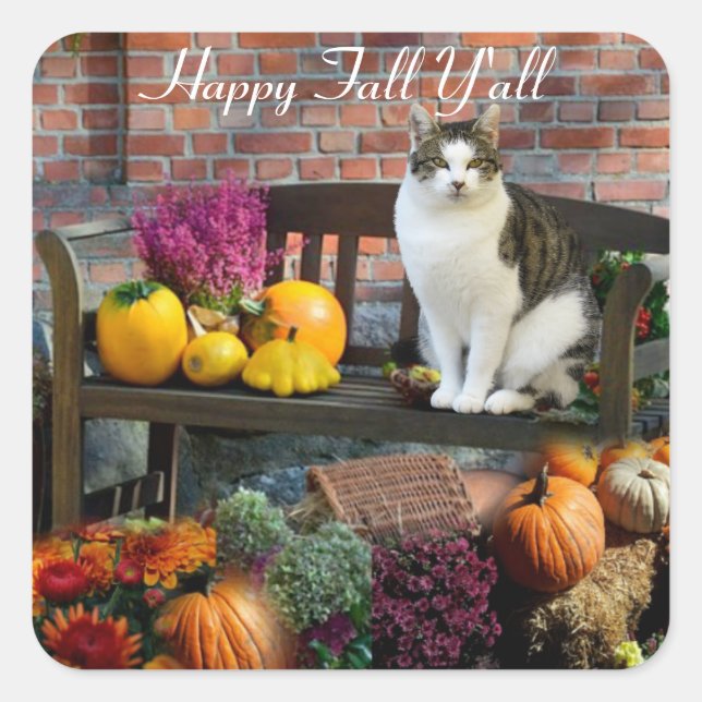 White Tabby Cat Fall Season / Happy Fall Y'all Square Sticker (Front)