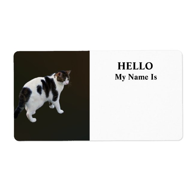 White Tabby With Dark Patches (Front)