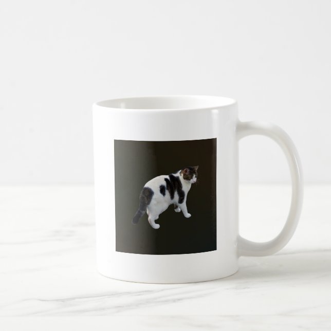 White Tabby With Dark Patches Coffee Mug (Right)