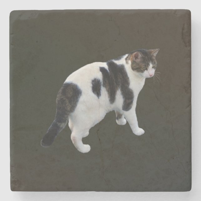 White Tabby With Dark Patches Stone Coaster (Front)