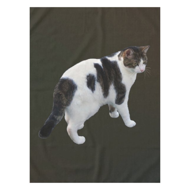 White Tabby With Dark Patches Tablecloth (Front)