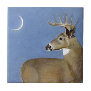 White Tail Buck Tile