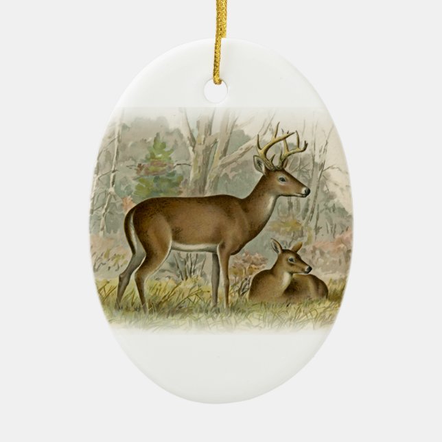 White Tail Deer Buck - Doe Ceramic Ornament (Front)