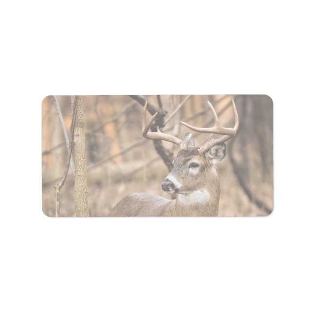 White Tail Deer Buck Label (Front)