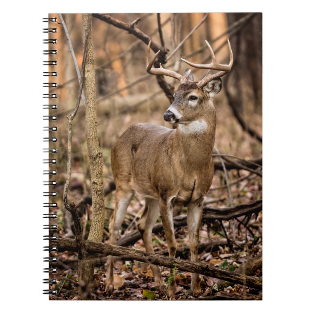 White Tail Deer Buck Notebook (Front)