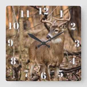 White Tail Deer Buck Square Wall Clock